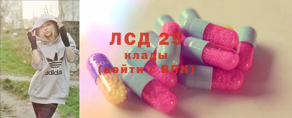 спайс Няндома