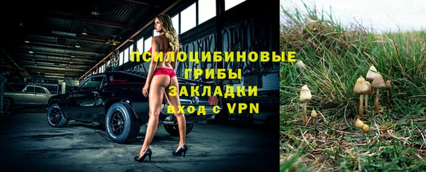 мдпв Нягань