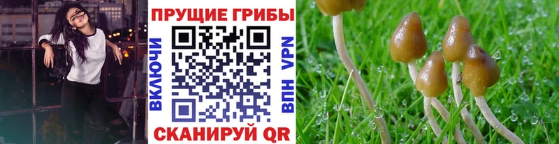 Галлюциногенные грибы MAGIC MUSHROOMS  Полярный 